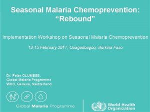Seasonal Malaria Chemoprevention Rebound Implementation Workshop on Seasonal
