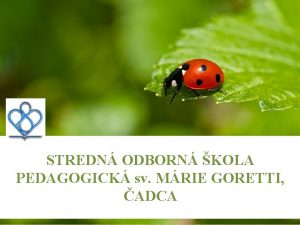 STREDN ODBORN KOLA PEDAGOGICK sv MRIE GORETTI ADCA