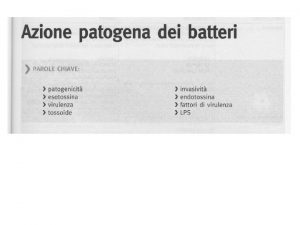 Meccanismi di patogenesi batterica Le tappe del processo