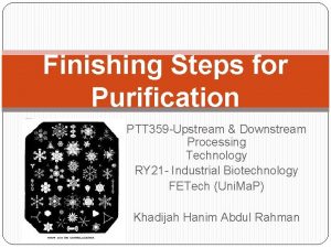 Finishing Steps for Purification PTT 359 Upstream Downstream