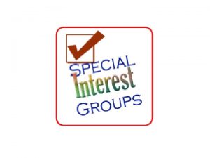 What are Interest Groups Interest groups Organizations of