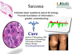 Sarcoma Sylvester Comprehensive Cancer Center Address basic questions