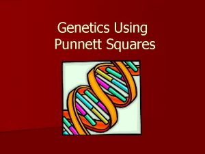 Genetics Using Punnett Squares Lets review some definitions