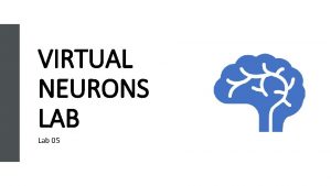 Virtual neurons