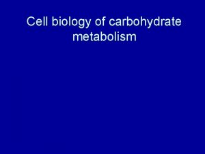 Cell biology of carbohydrate metabolism Glycogen Galactose Glycogen