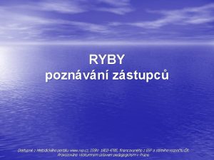 RYBY poznvn zstupc Dostupn z Metodickho portlu www