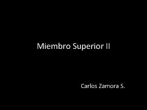 Miembro Superior II Carlos Zamora S Msculos del
