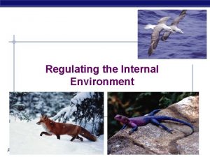 Regulating the Internal Environment AP Biology 2006 2007