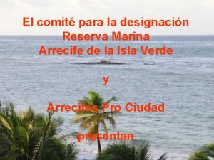 El comit para la designacin Reserva Marina Arrecife