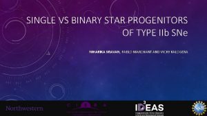 SINGLE VS BINARY STAR PROGENITORS OF TYPE IIb