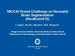 MICCAI Grand Challenge on Neonatal Brain Segmentation Neo