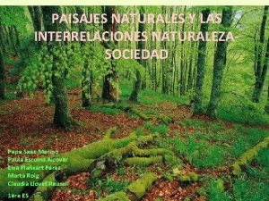 PAISAJES NATURALES Y LAS INTERRELACIONES NATURALEZASOCIEDAD Pepa SaezMerino