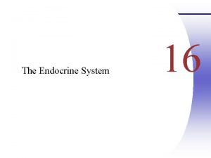 The Endocrine System 16 Endocrine System Overview Endocrine