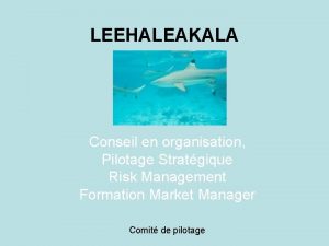 LEEHALEAKALA Conseil en organisation Pilotage Stratgique Risk Management