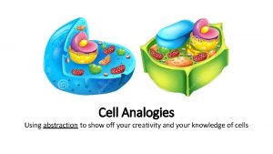 Amusement park cell analogy