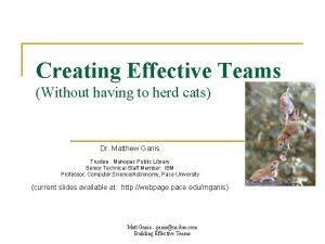 Creating Effective Teams Without having to herd cats