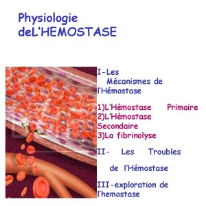 Physiologie de LHEMOSTASE ILes Mcanismes de lHmostase 1LHmostase