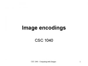 Csc picture size in inches