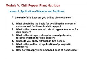 Module V Chili Pepper Plant Nutrition Lesson 4