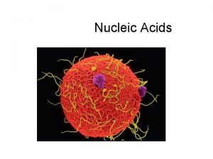 Nucleotide nomenclature
