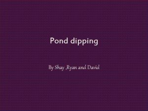 Pond dipping By Shay Ryan and David What