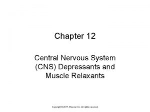 Chapter 12 Central Nervous System CNS Depressants and