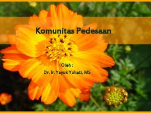 Komunitas Pedesaan Oleh Dr Ir Yayuk Yuliati MS