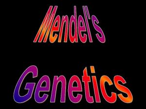 Gene composed of DNA The sequence of bases