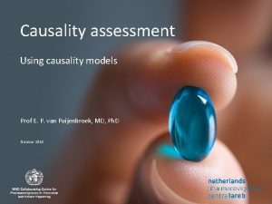 Causality assessment Using causality models Prof E P