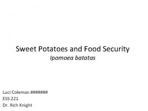 Sweet Potatoes and Food Security Ipomoea batatas Luci