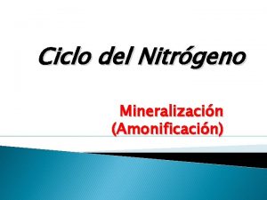 Ciclo del Nitrgeno Mineralizacin Amonificacin Propiedades del Nitrgeno