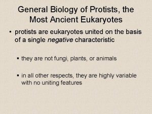 Photosynthesis protists Photosynthesis protists
