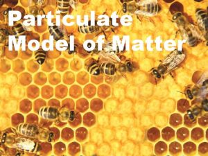 The particulate model of matter