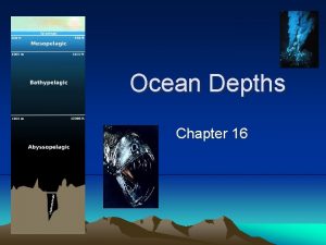 Ocean Depths Chapter 16 The Ocean Depths Inner