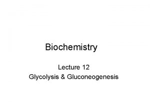 Biochemistry Lecture 12 Glycolysis Gluconeogenesis Glycolysis and Catabolism