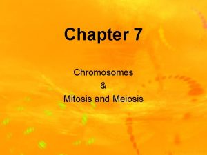 Chapter 7 Chromosomes Mitosis and Meiosis Chromosomes DNA
