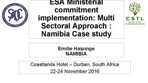 ESA Ministerial commitment implementation Multi Sectoral Approach Namibia