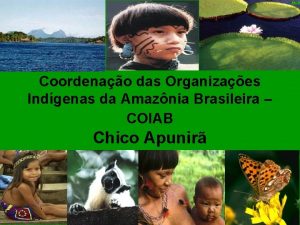 Coordenao das Organizaes Indgenas da Amaznia Brasileira COIAB