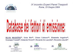 IX incontro Expert Panel Trasporti Roma 23 Giugno