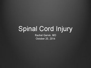 Spinal Cord Injury Rachel Garvin MD October 20