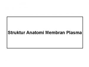 Struktur Anatomi Membran Plasma Membran plasma merupakan batas