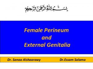 Female Perineum and External Genitalia Dr Sanaa Alshaarawy