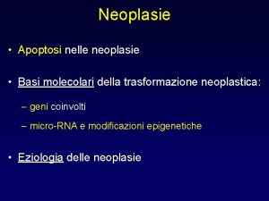 Neoplasie Apoptosi nelle neoplasie Basi molecolari della trasformazione