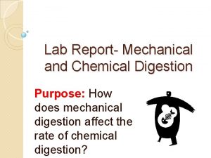 Difference of mechanical and chemical digestion