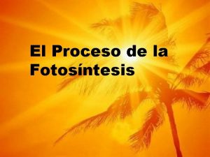 El Proceso de la Fotosntesis La Fotosntesis Es