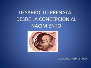 DESARROLLO PRENATAL DESDE LA CONCEPCION AL NACIMIENTO Lic