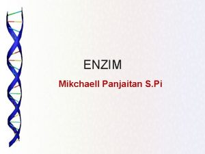 ENZIM Mikchaell Panjaitan S Pi APA ITU ENZIM