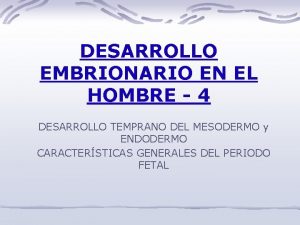 DESARROLLO EMBRIONARIO EN EL HOMBRE 4 DESARROLLO TEMPRANO