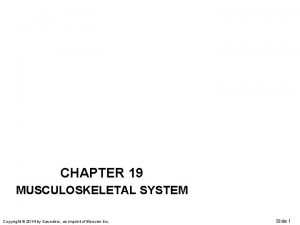 CHAPTER 19 MUSCULOSKELETAL SYSTEM Copyright 2014 by Saunders