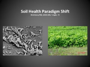 Soil Health Paradigm Shift Rick Haney Ph D